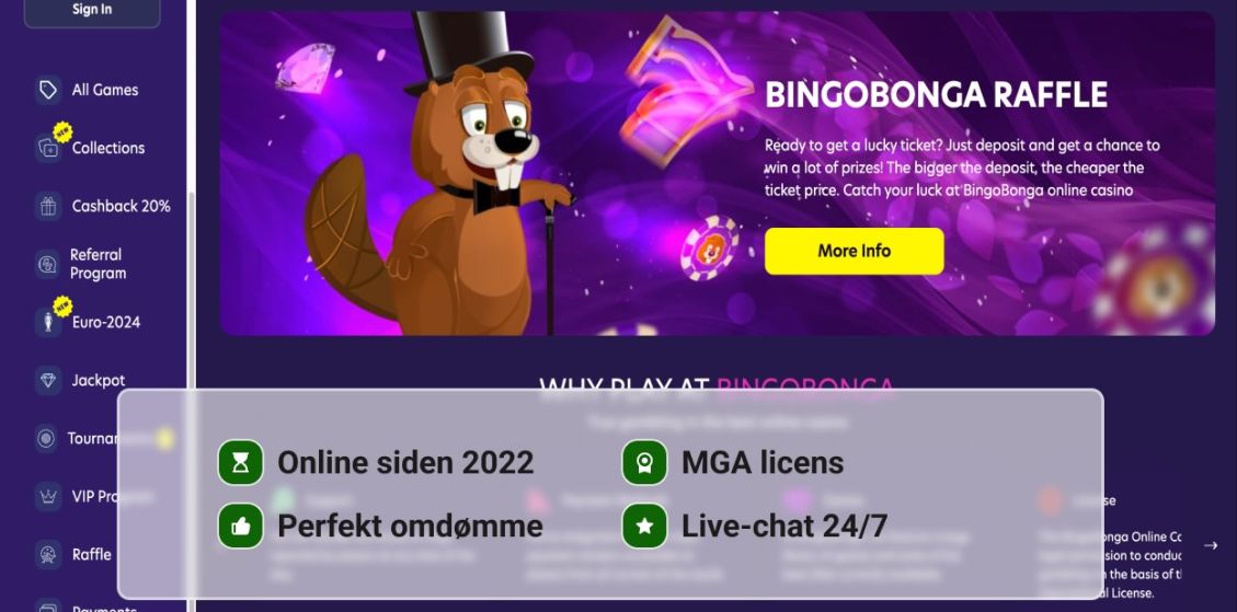 BingoBonga Casino grundlæggende oplysninger