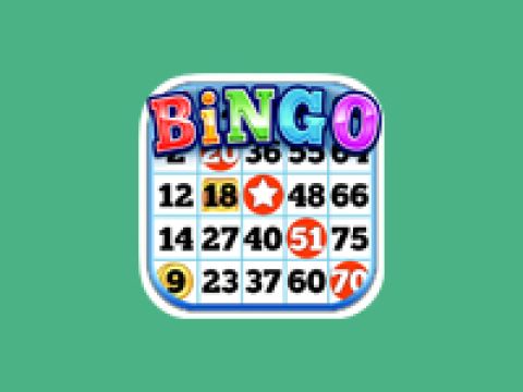 bingo-dk-480x360sh