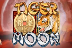 Gameplay, fakta og tal Tiger Moon