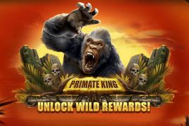 Gameplay, fakta og tal – Primate King