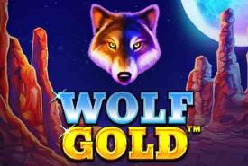 Wolf Gold review