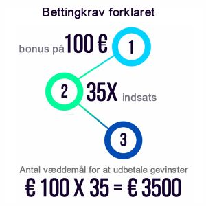 Hvad Er Omsætningskrav?